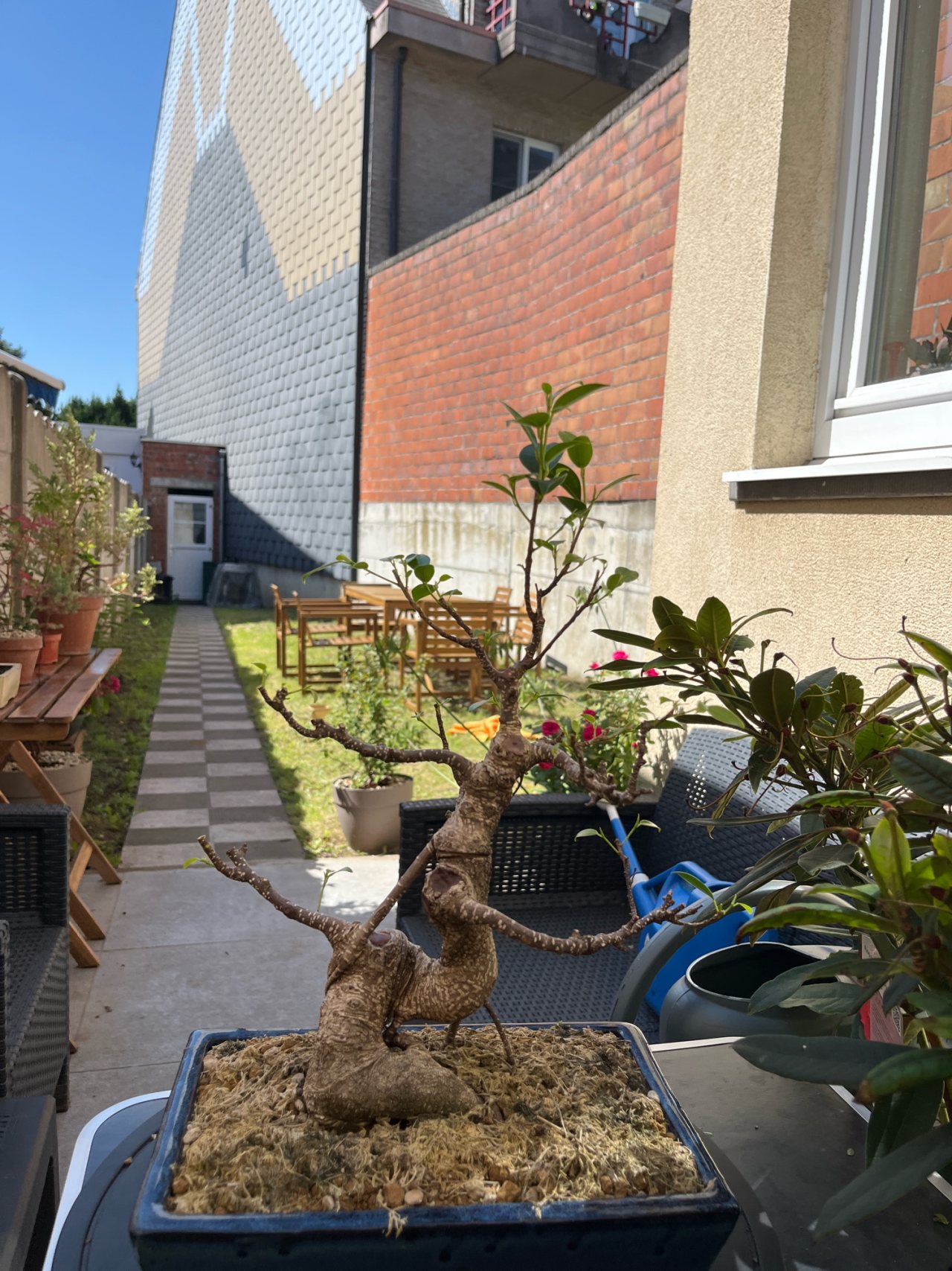 Photo 14