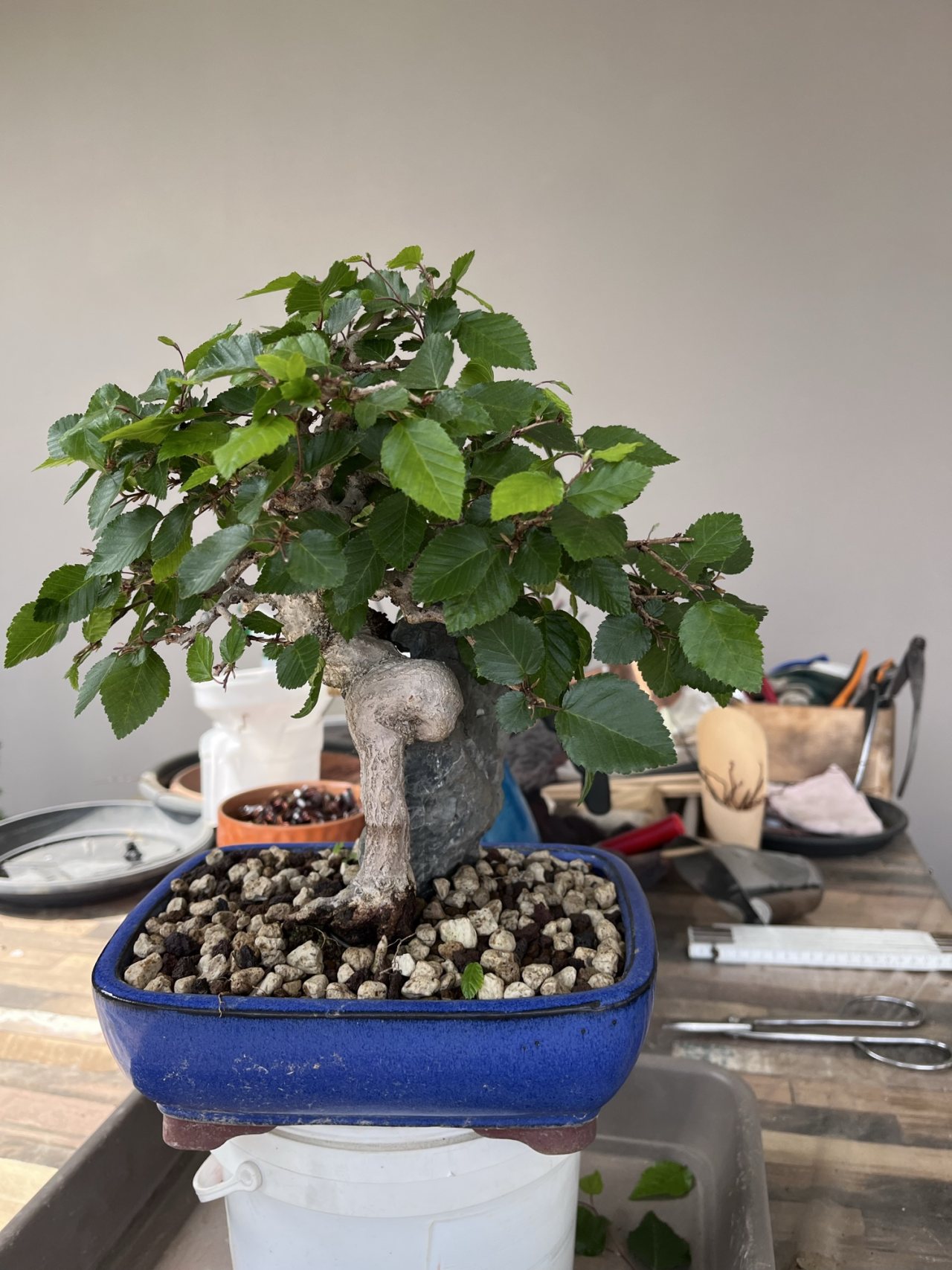 Photo 18