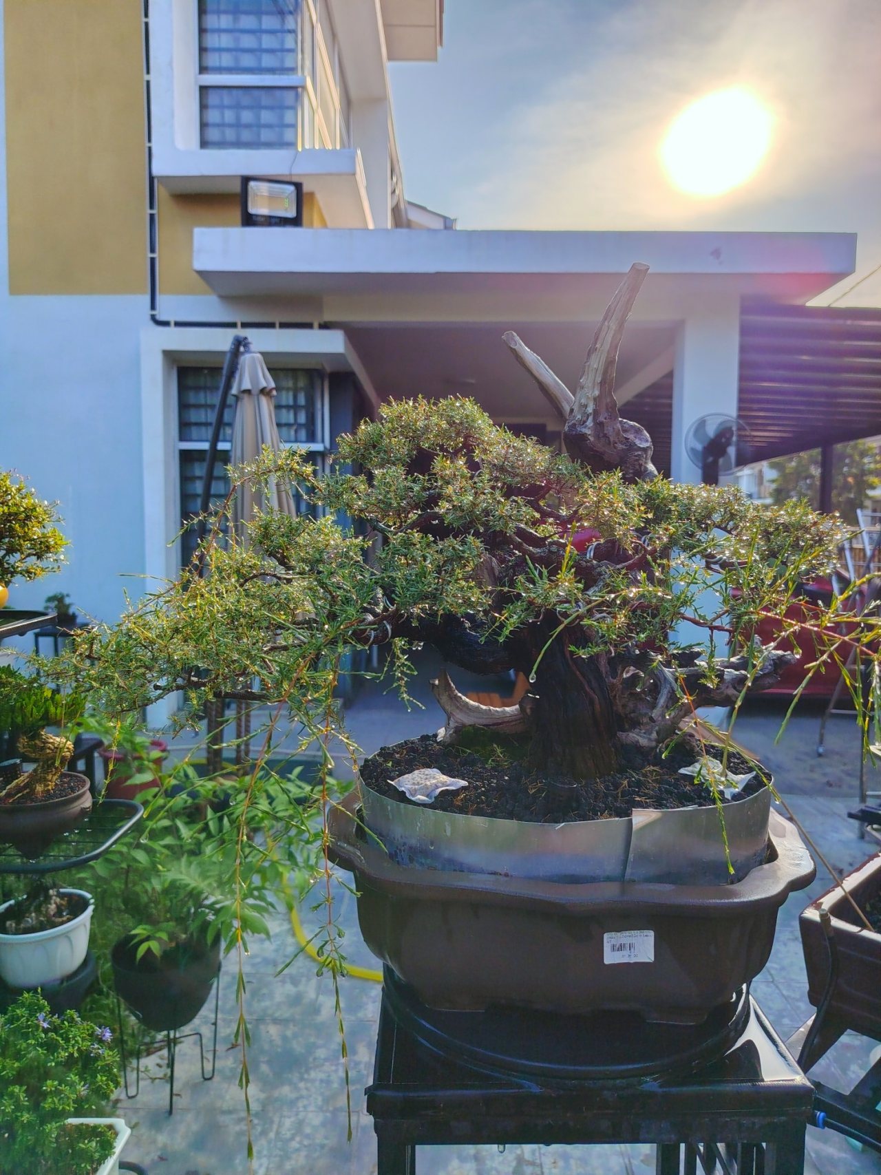 Photo 7