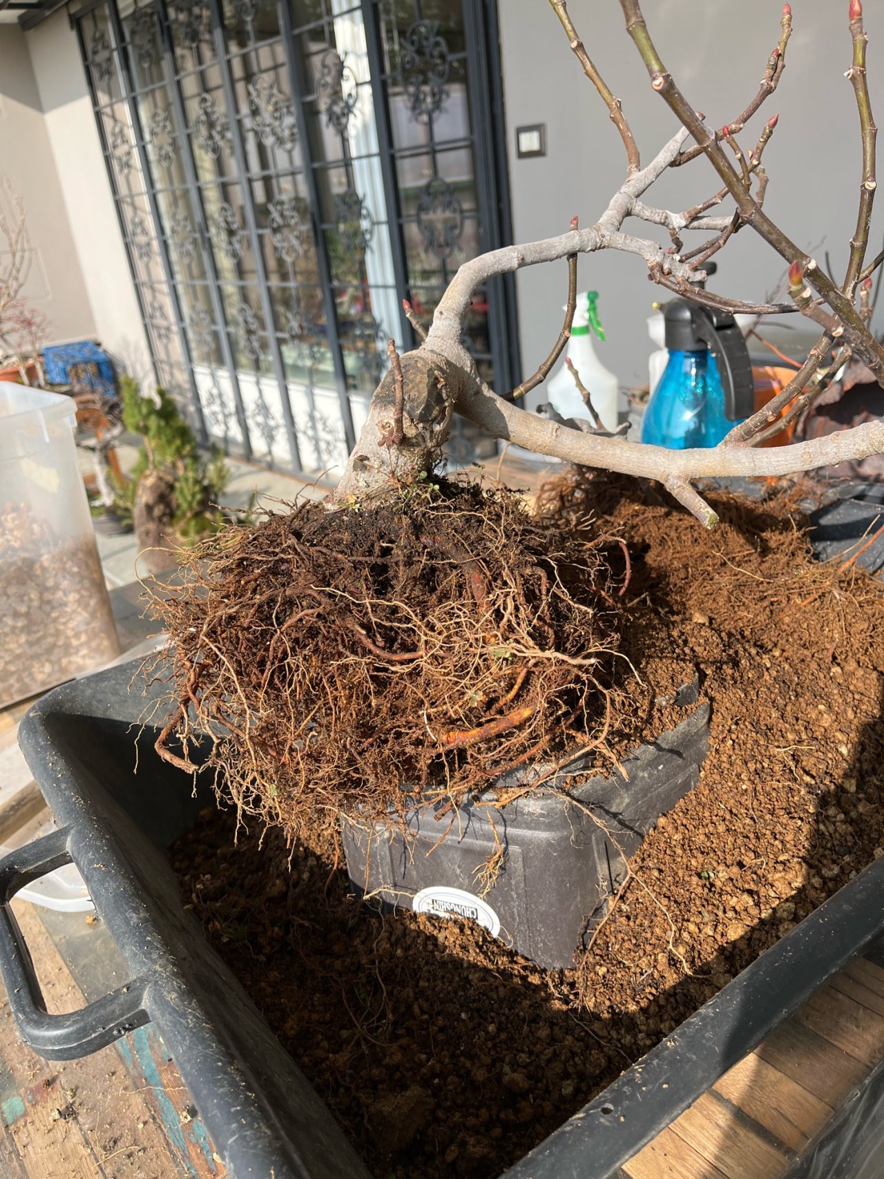Photo 18