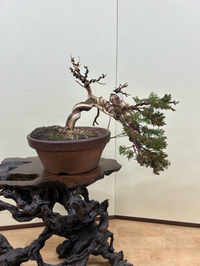 Itoigawa Koji