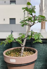 Kneifen - 08.04.26 - Photo 1/3