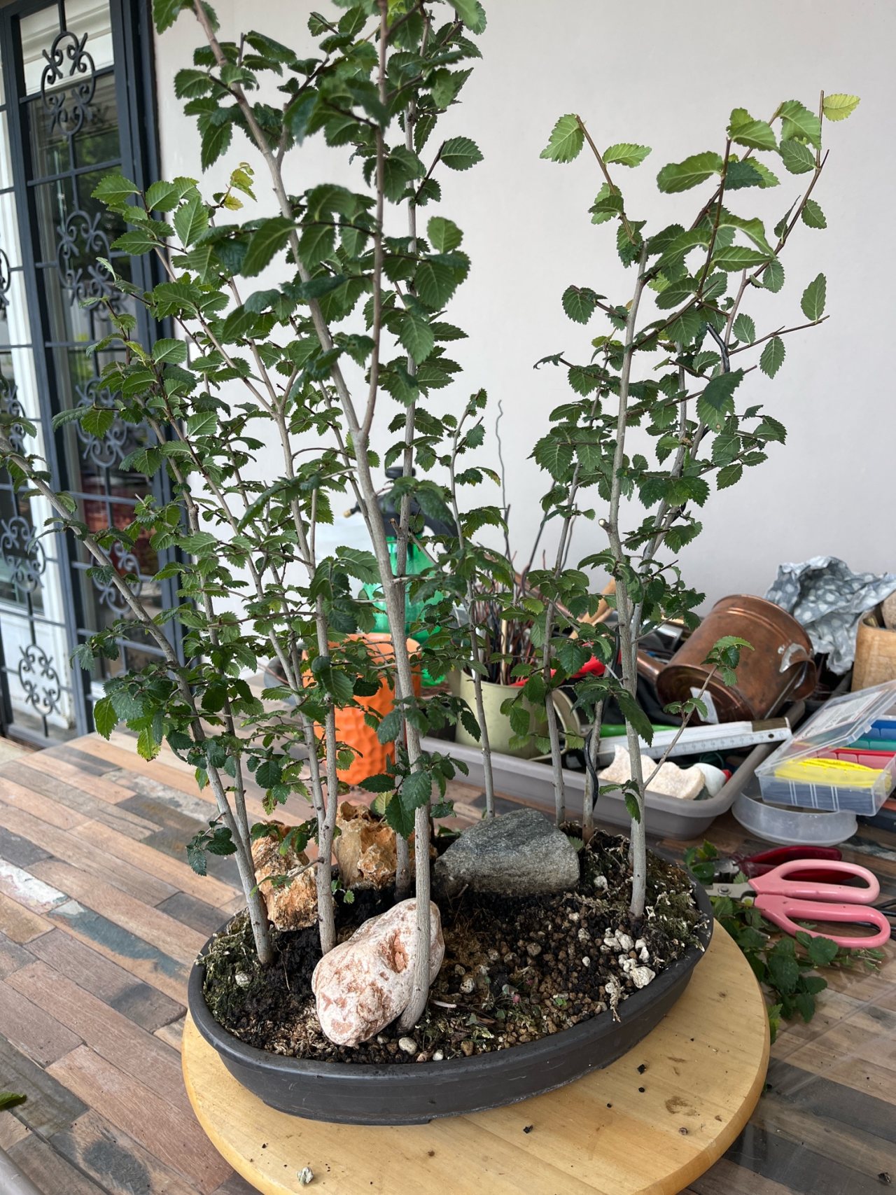 Photo 18