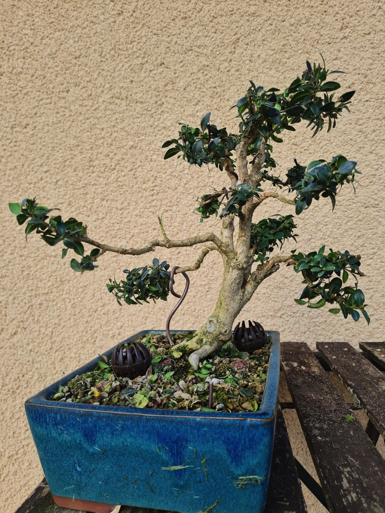 Photo 4