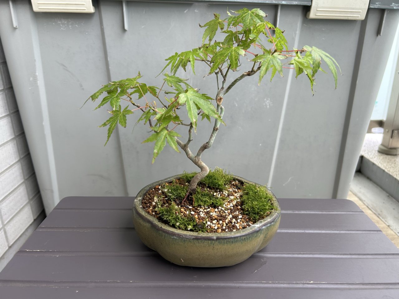Photo 18
