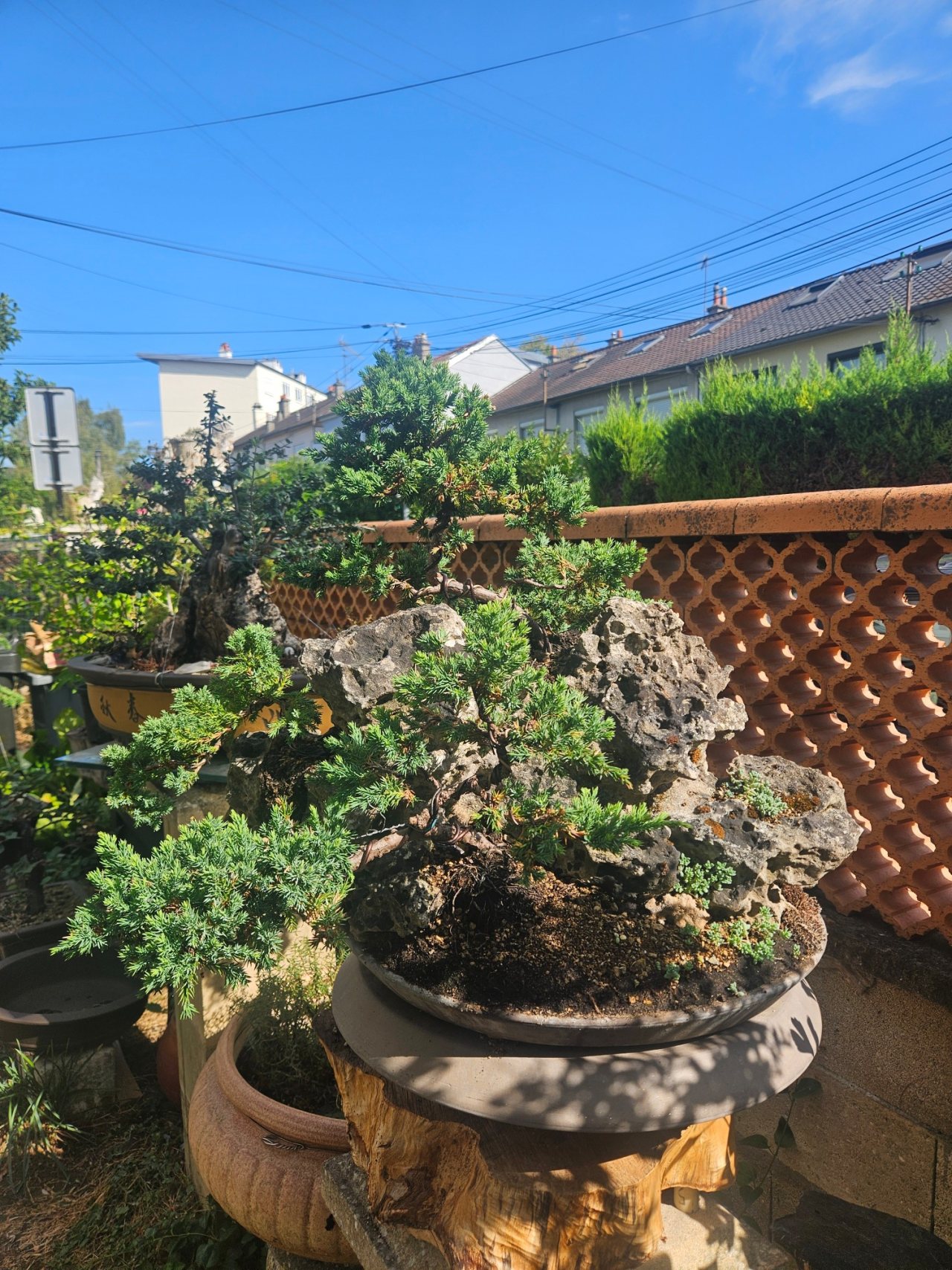 Photo 19