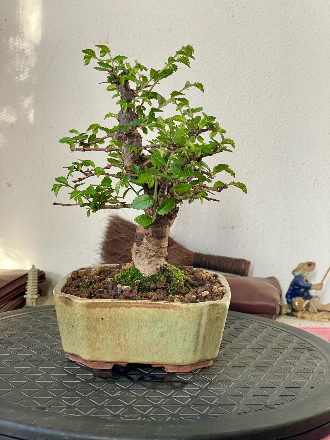 Photo 16