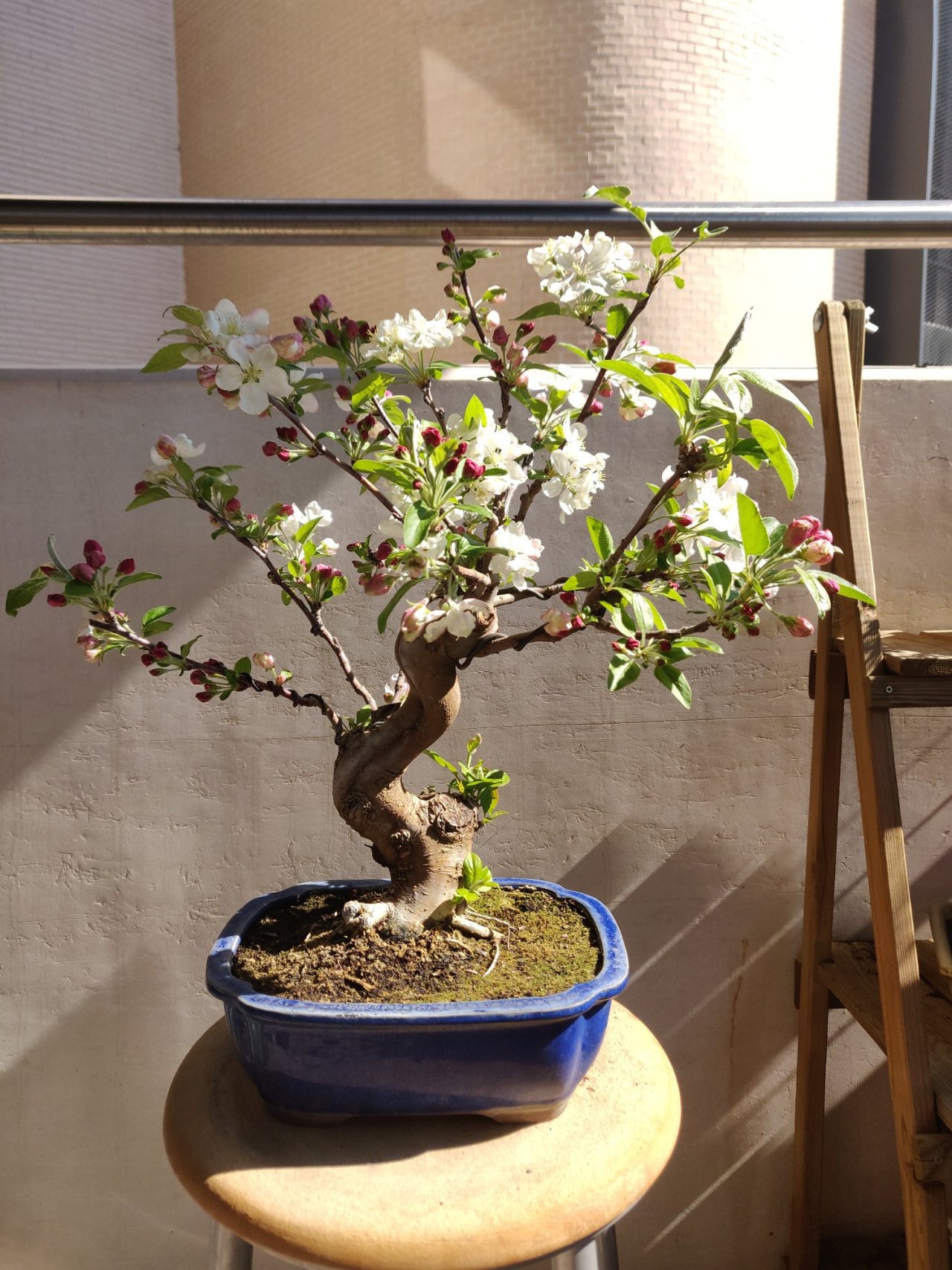 Photo 25