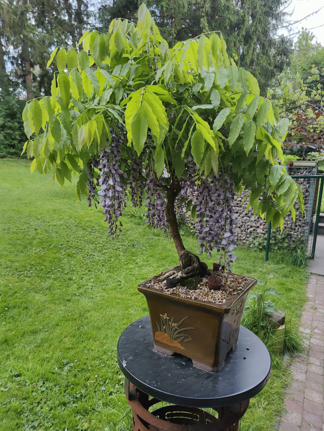 Photo 20