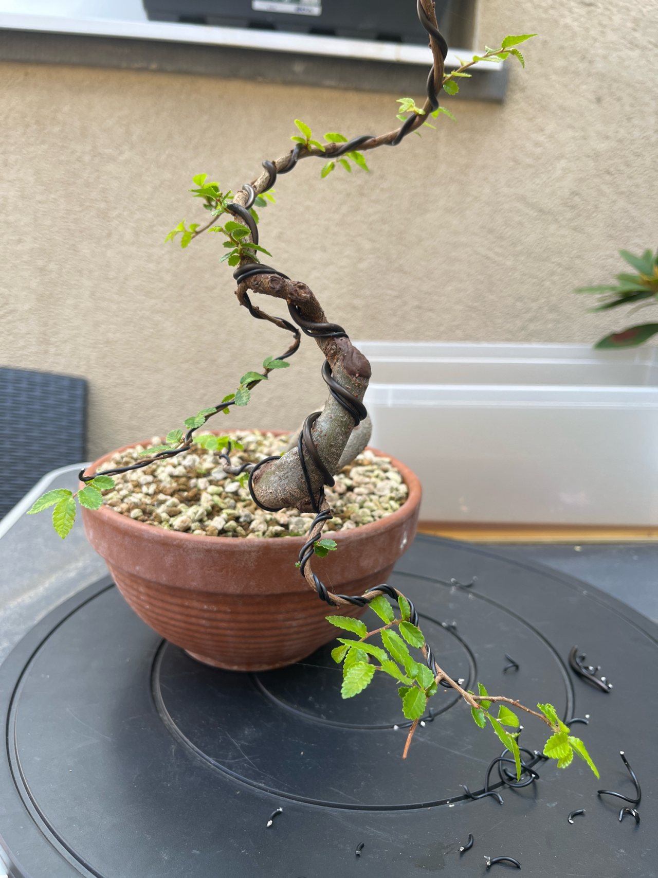 Photo 22