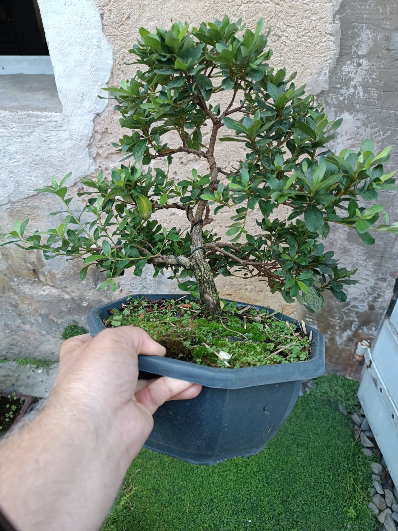 Photo 8