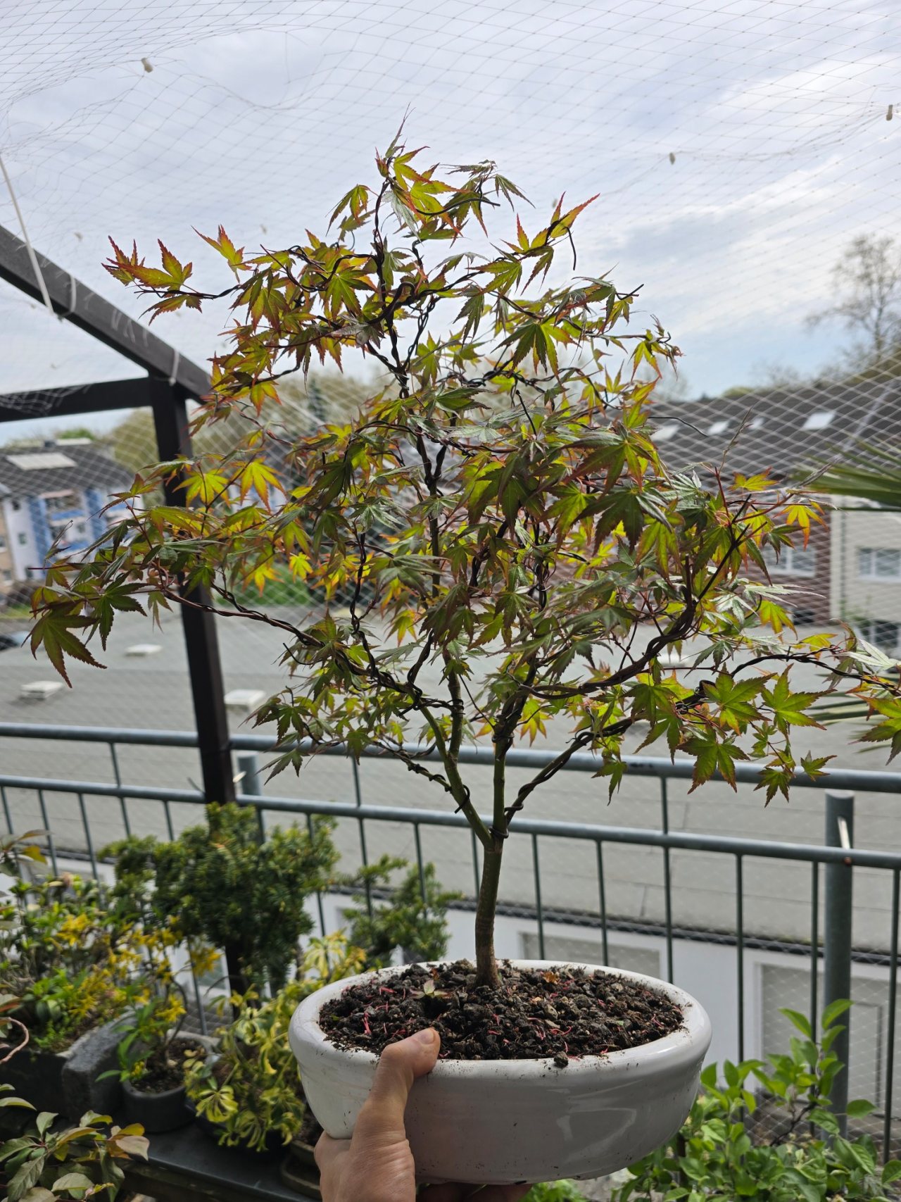 Photo 21