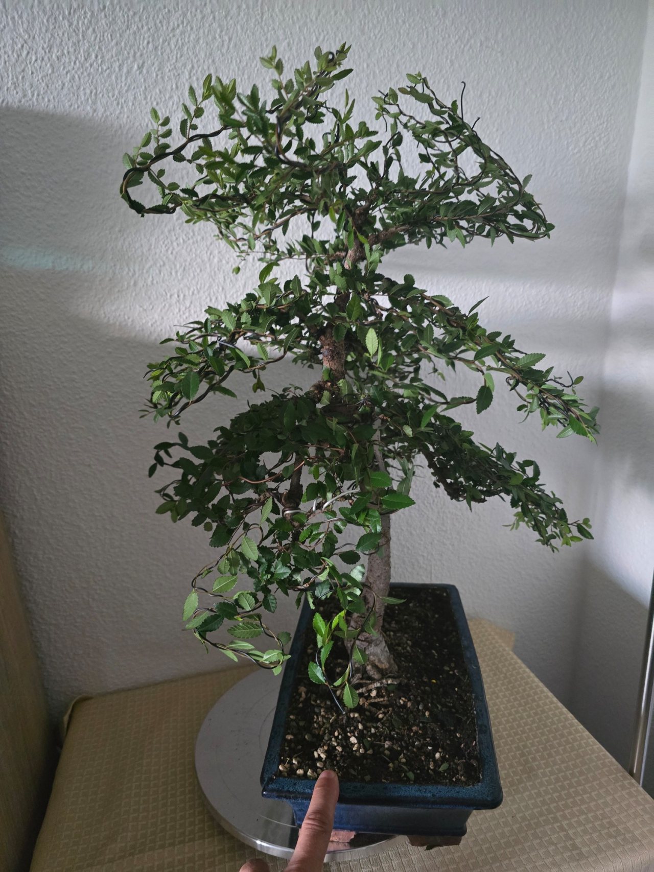 Photo 10