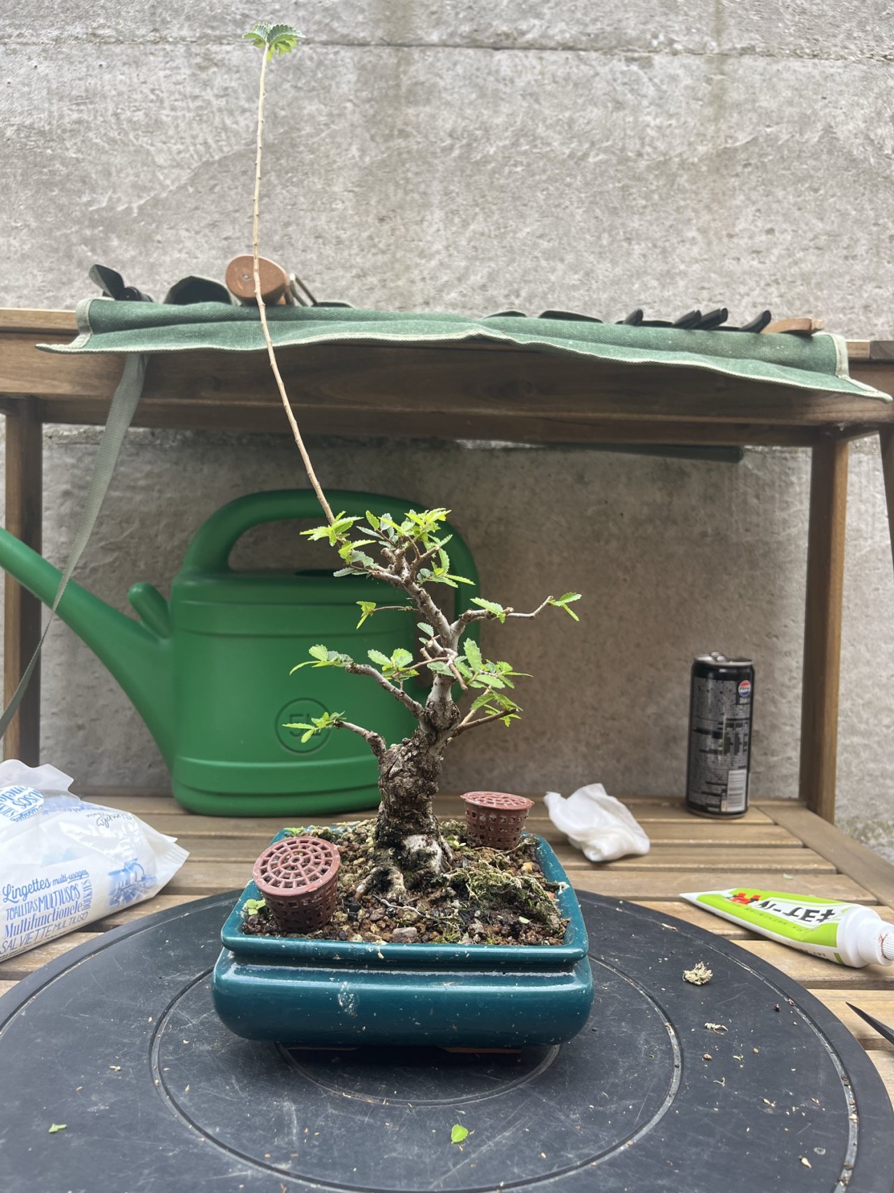 Photo 20