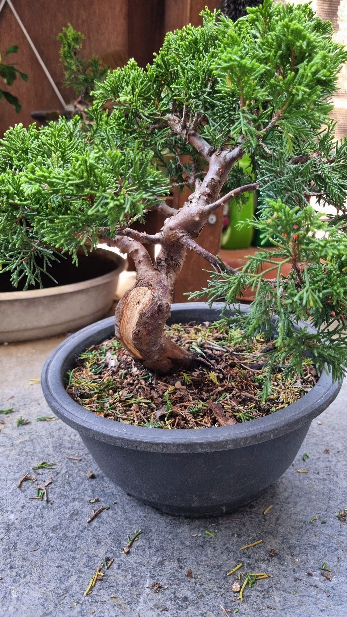 Photo 5
