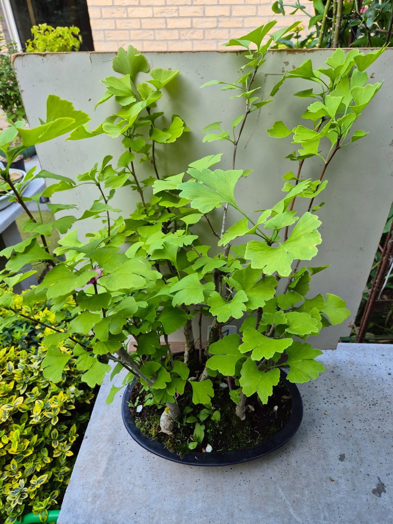 Photo 2