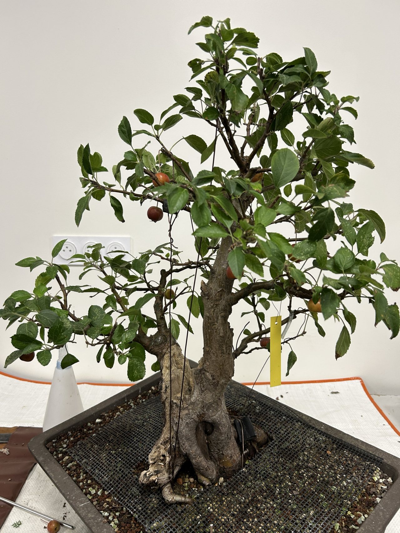 Photo 14