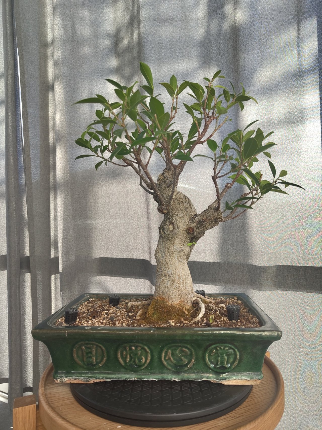 Photo 3