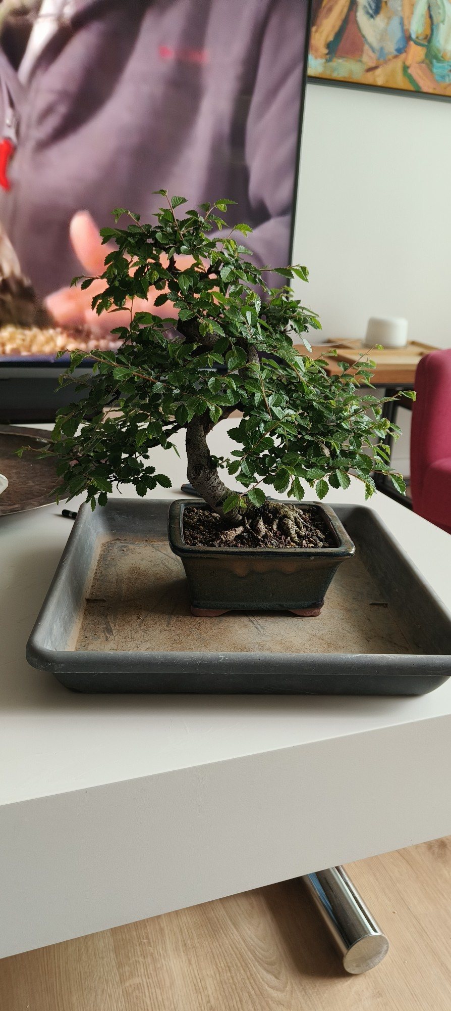 Photo 12