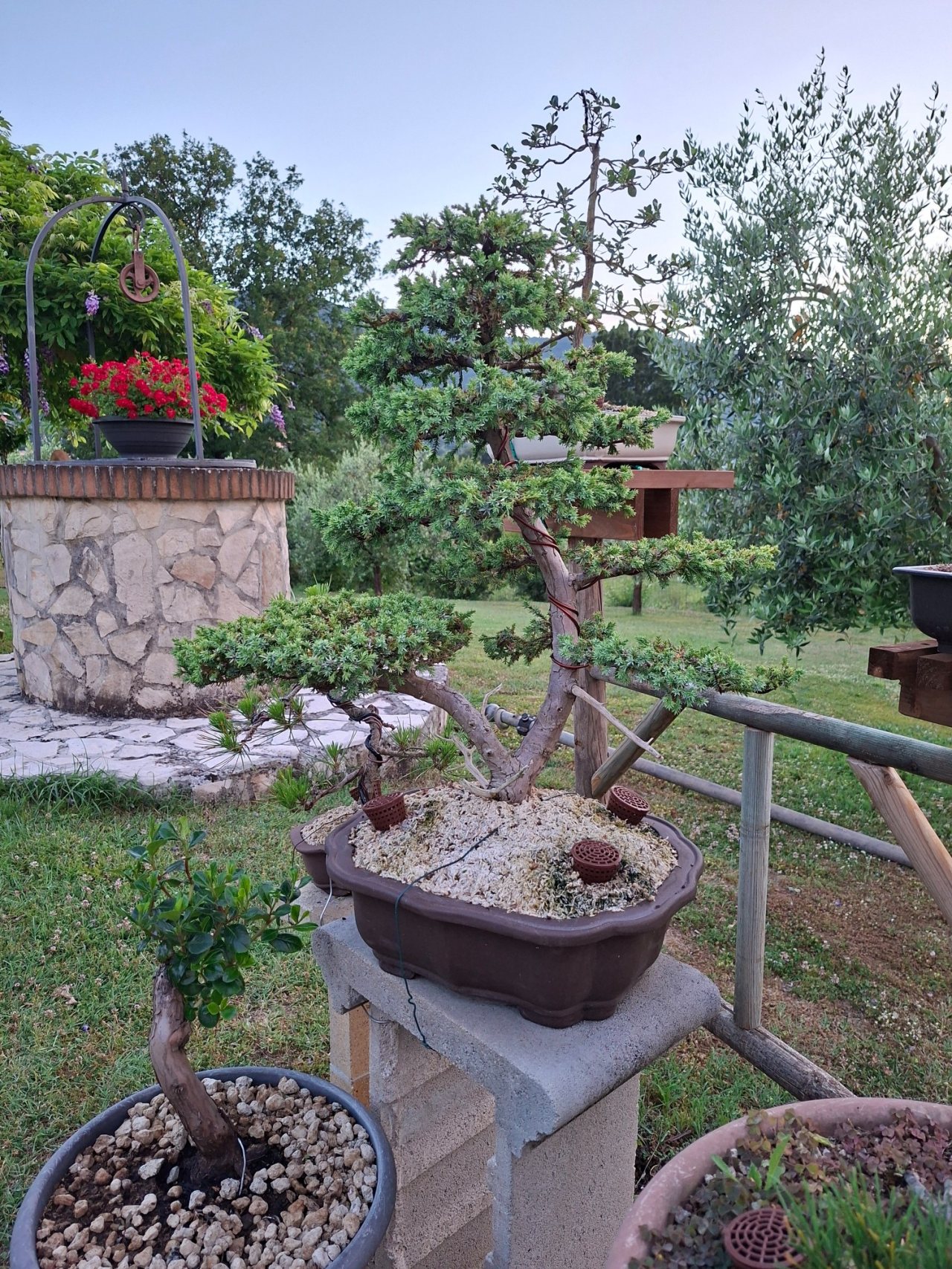 Photo 27