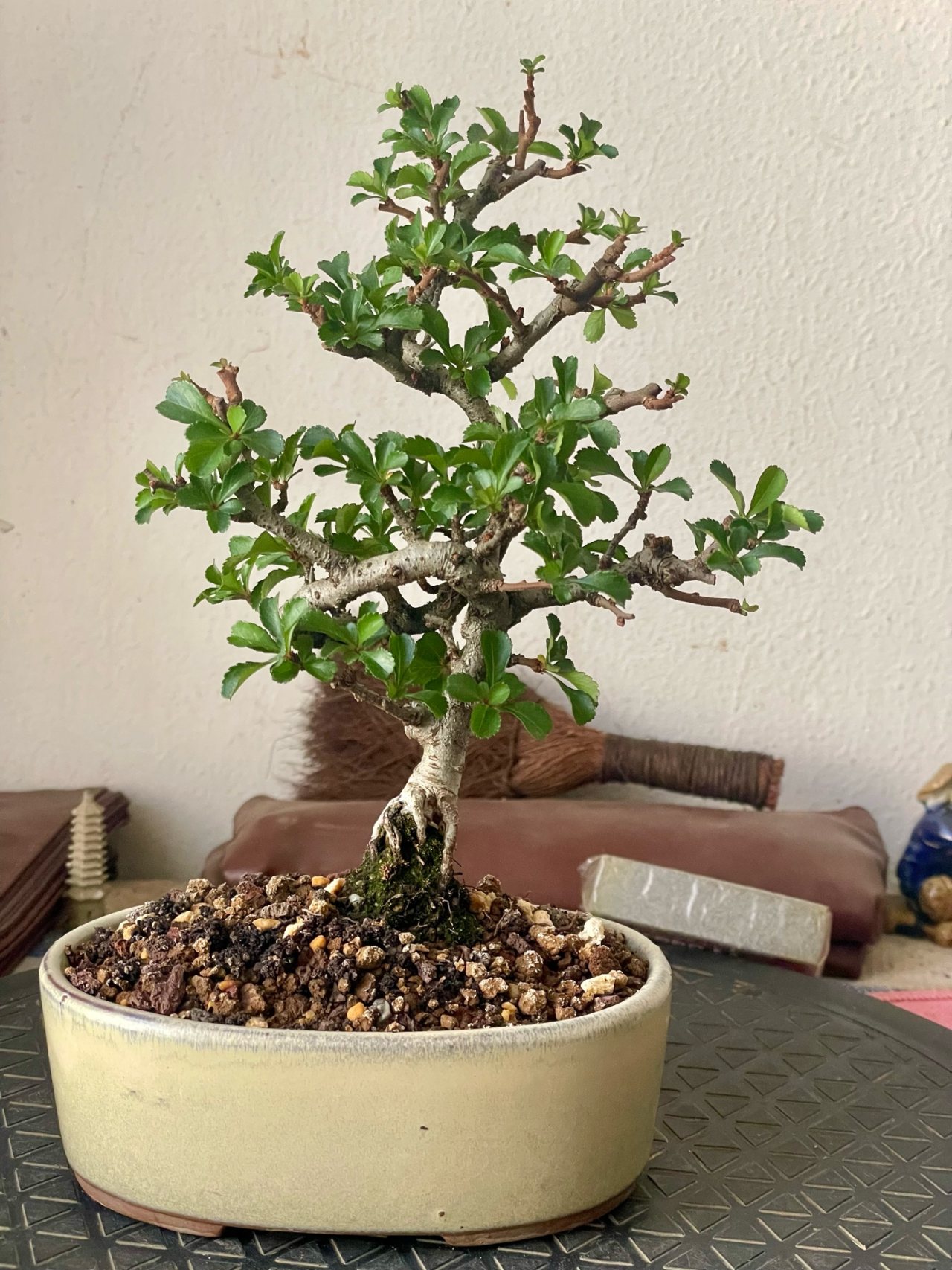 Photo 17