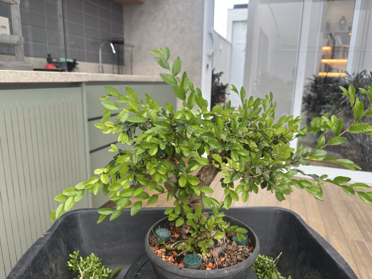 Photo 21