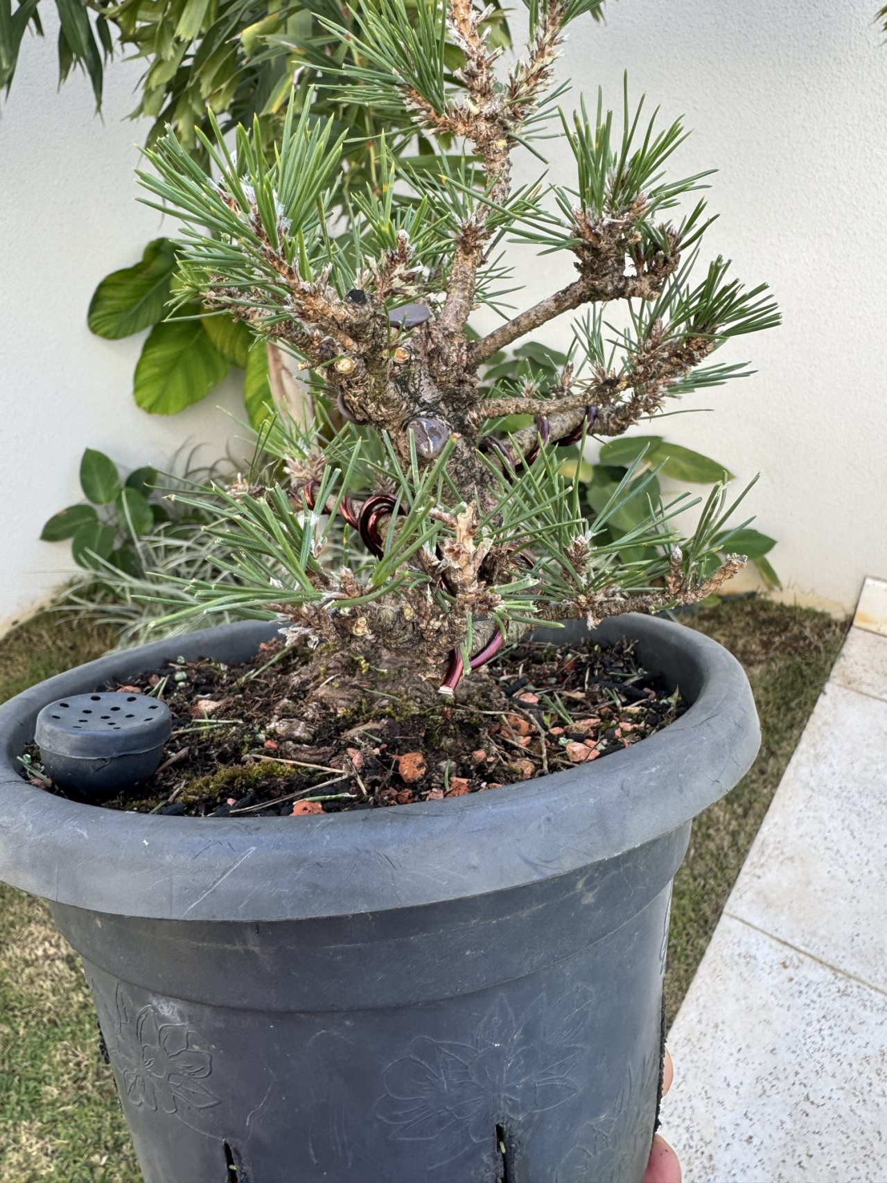 Photo 27