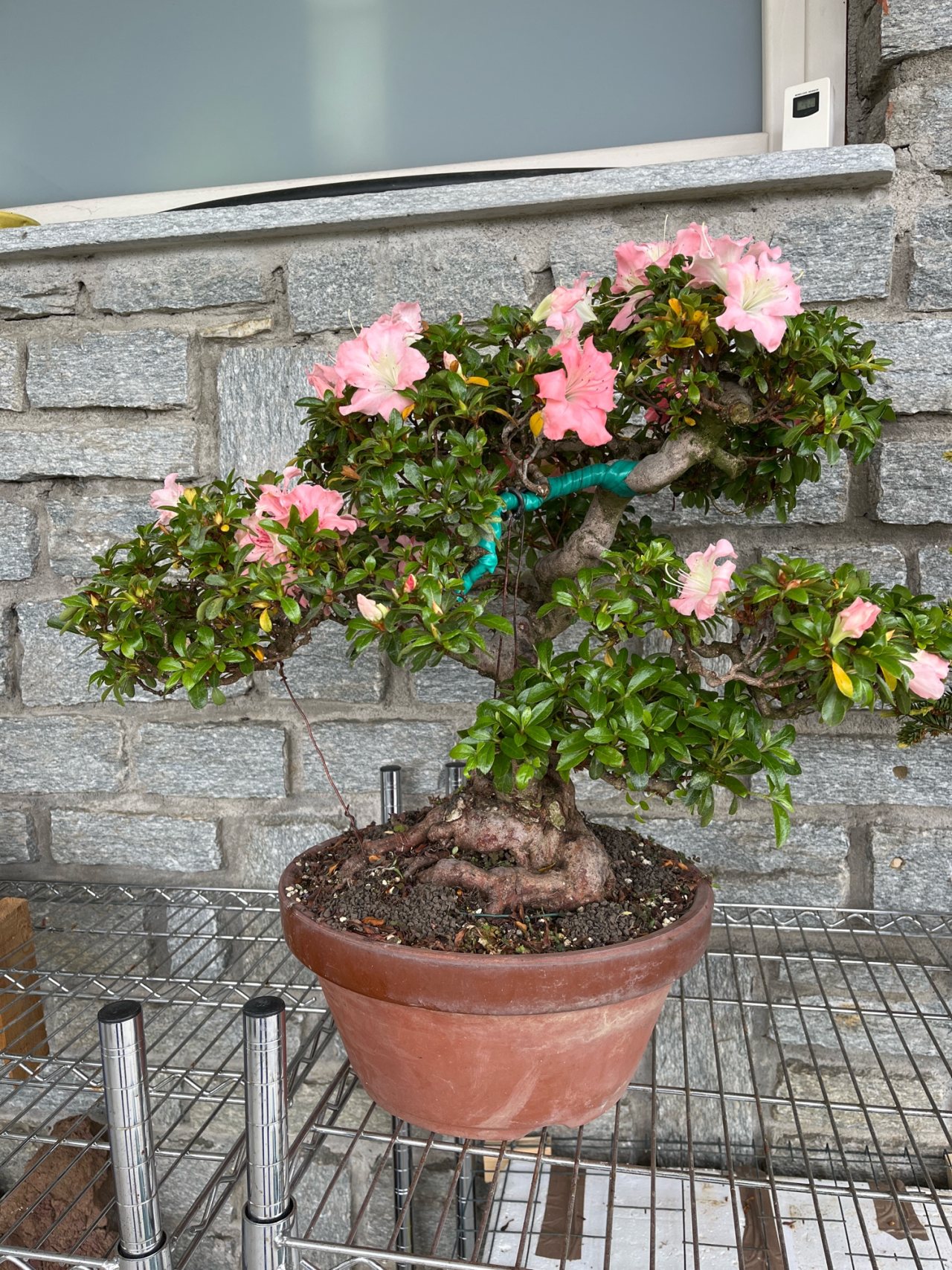Photo 11