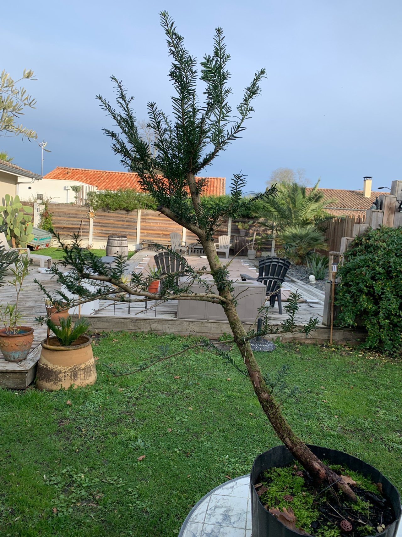Photo 3