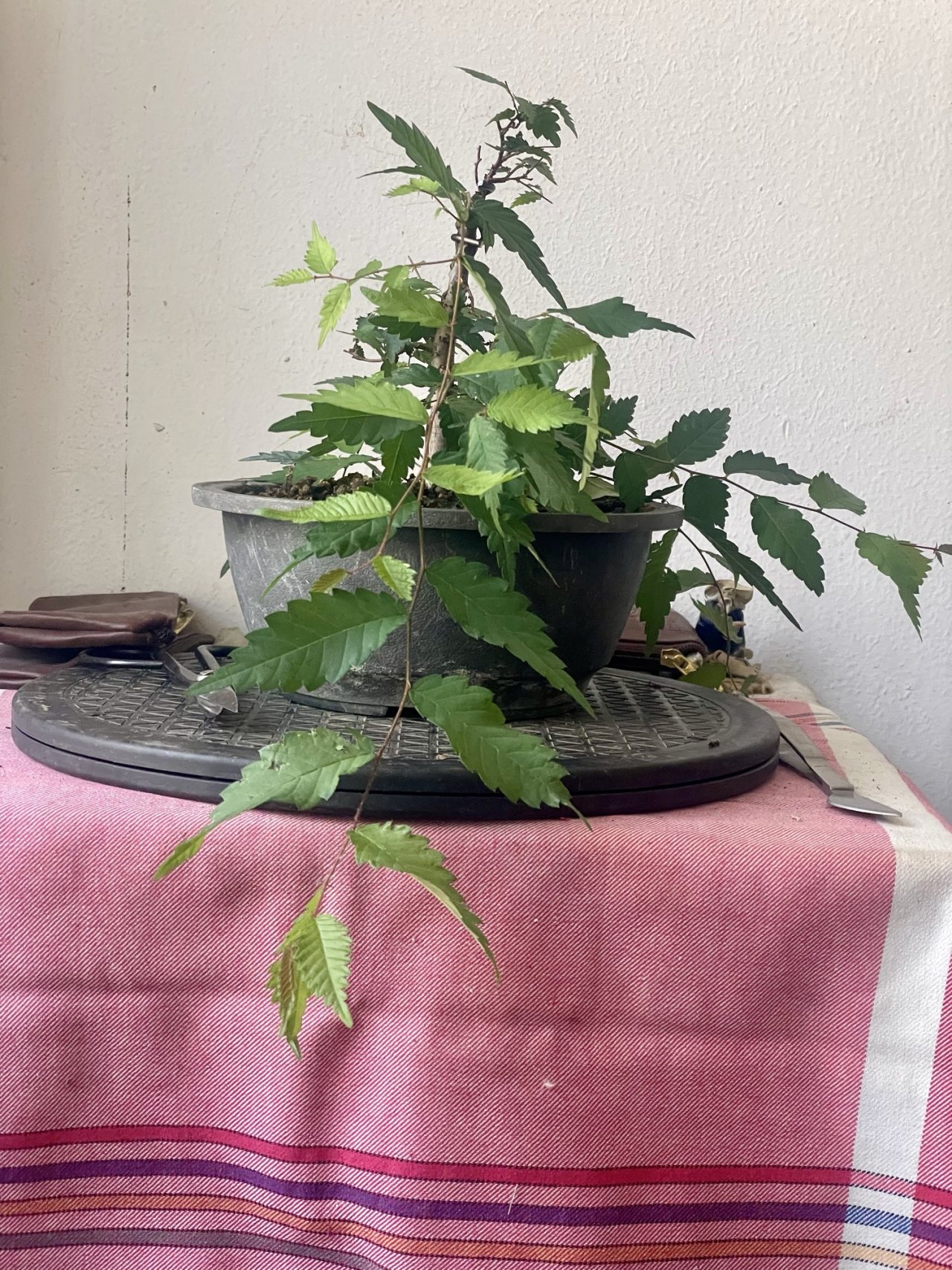 Photo 16