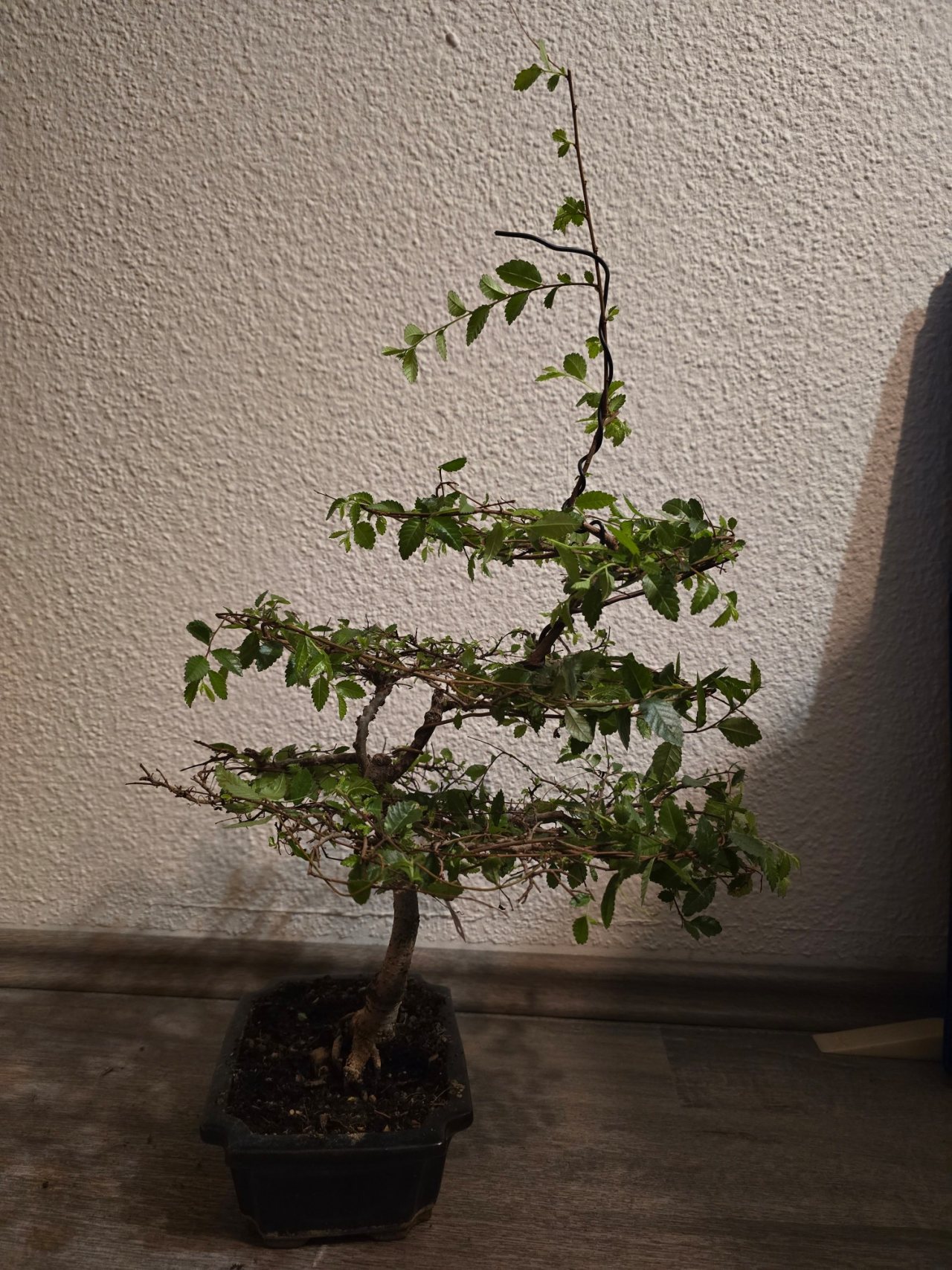 Photo 13