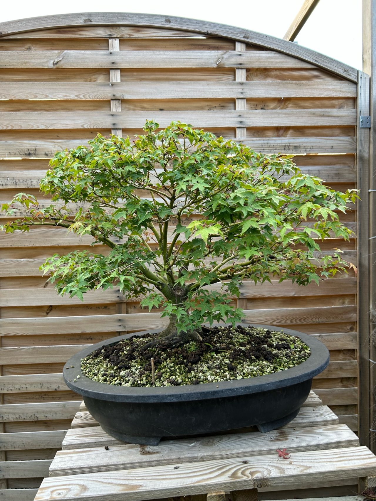 Photo 30