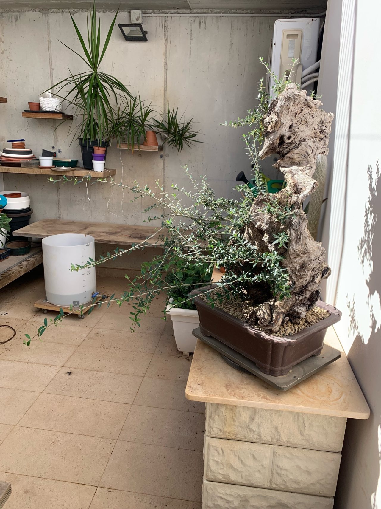 Photo 8