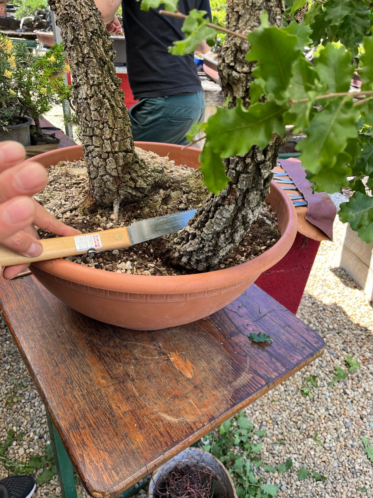 Photo 17