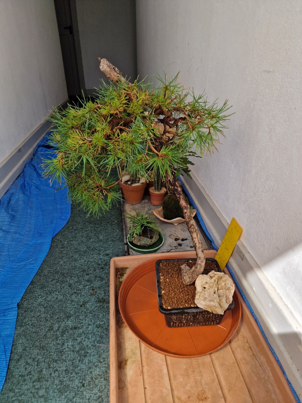Photo 21