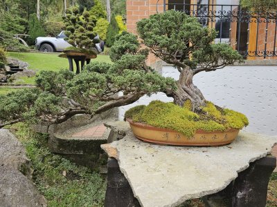 San Jose Semi Cascada 2