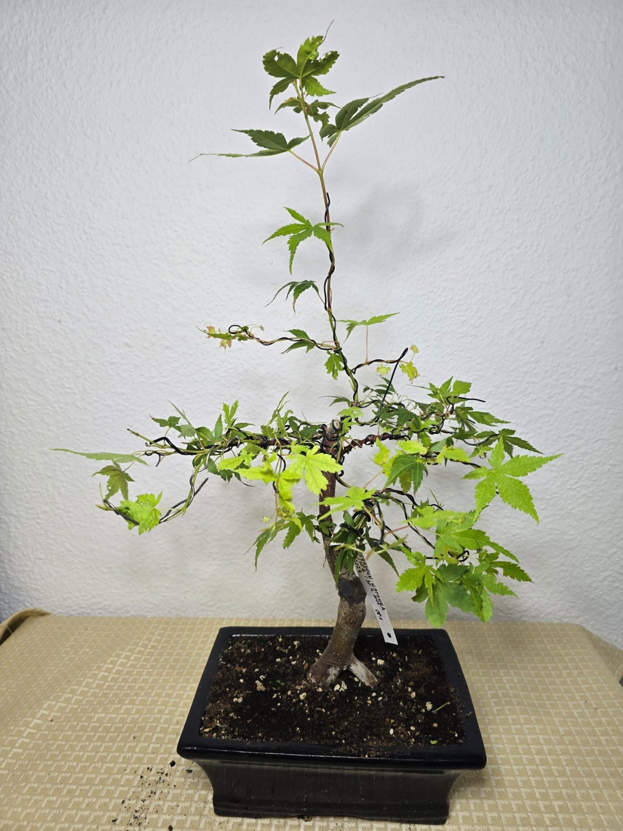 Photo 20