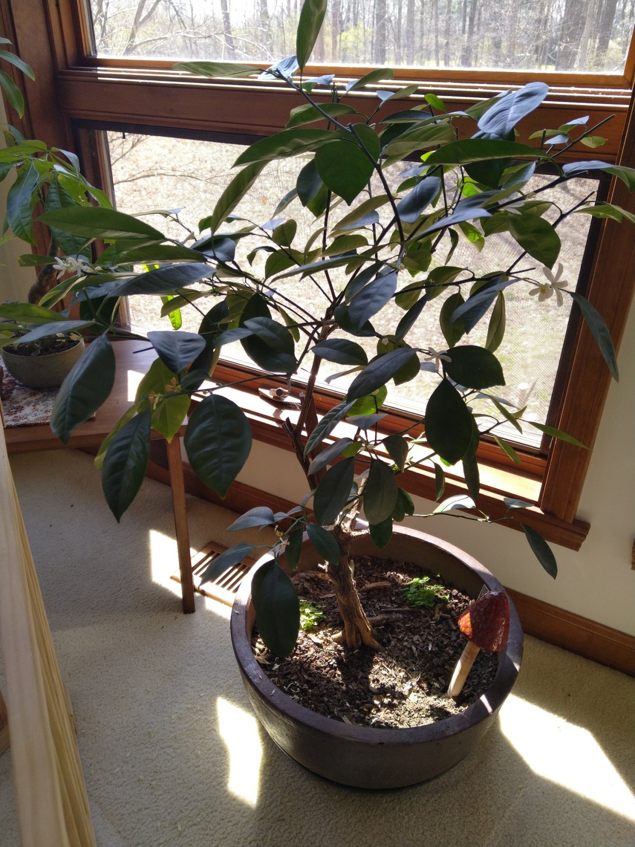 Photo 5