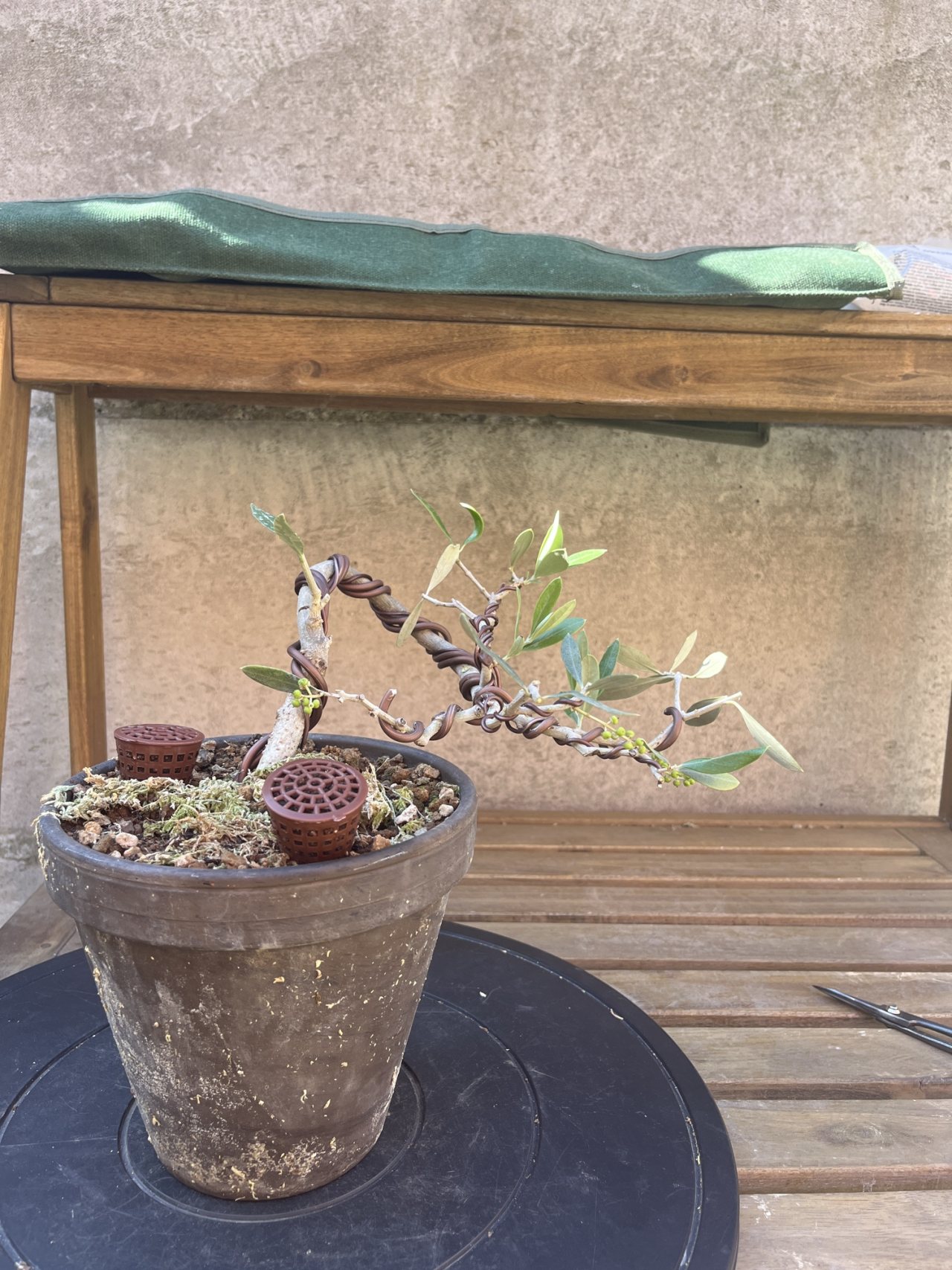 Photo 17