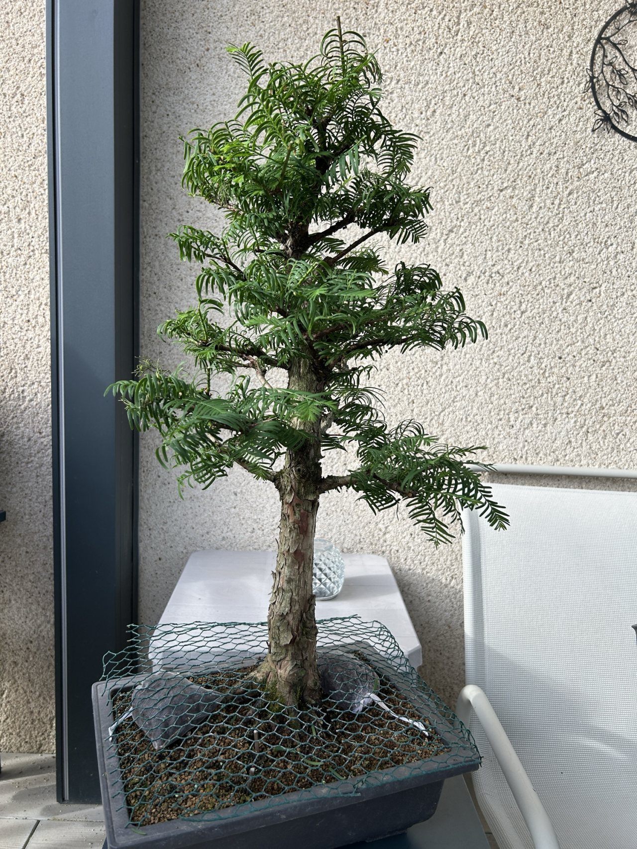 Photo 18