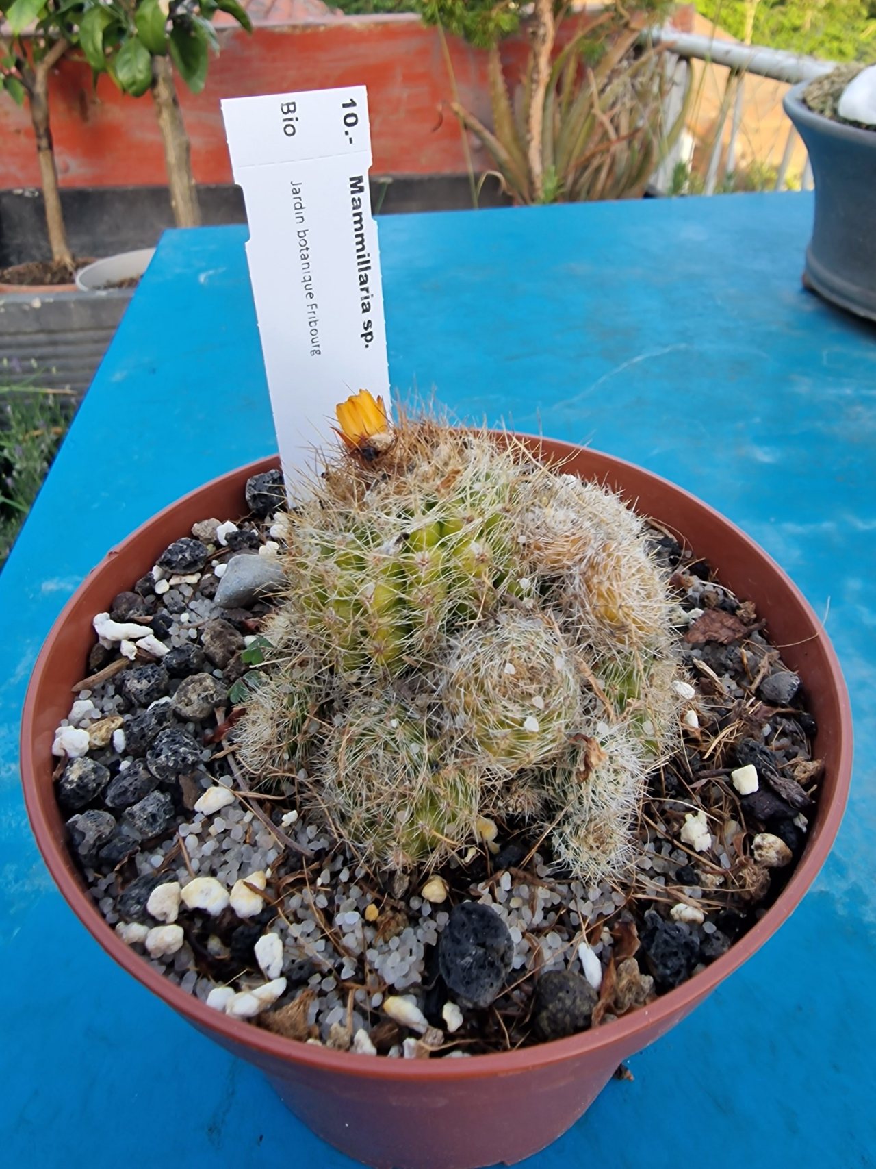 Photo 22
