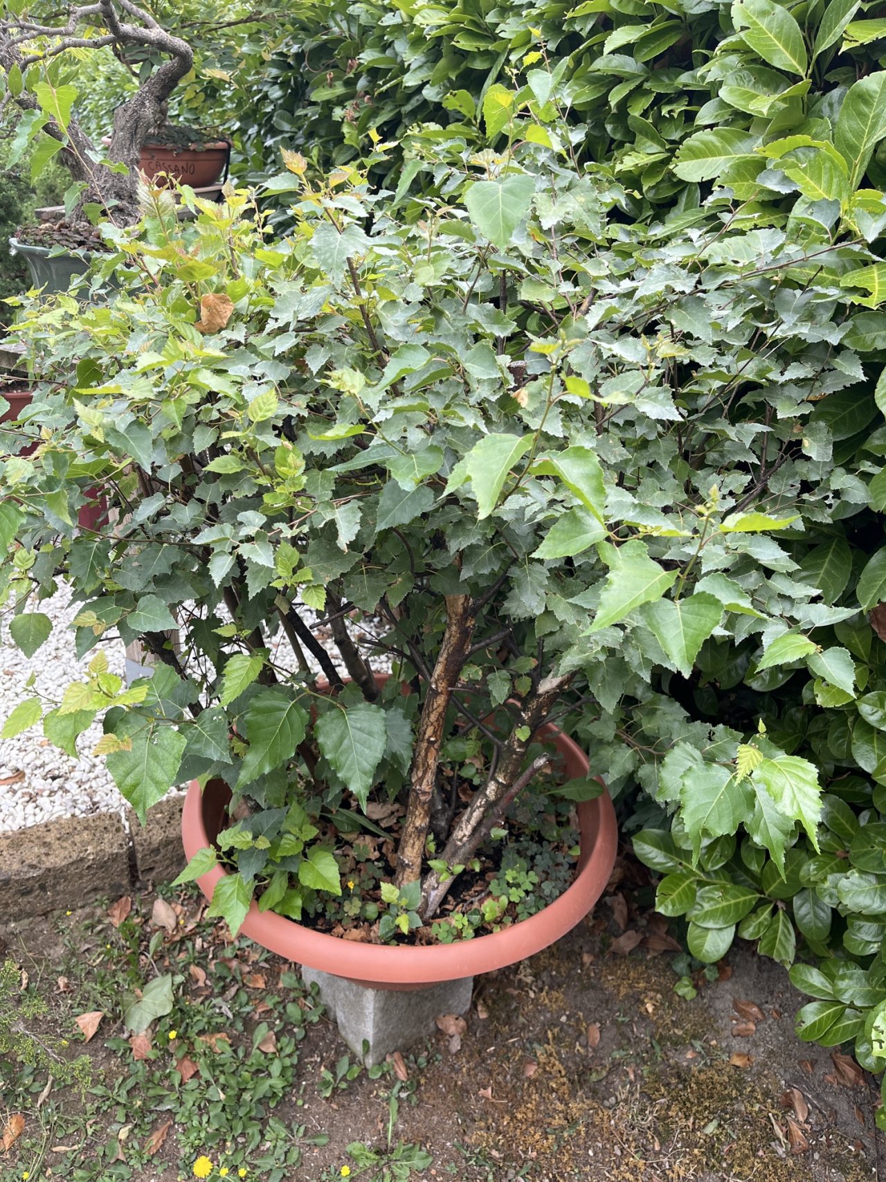 Photo 17