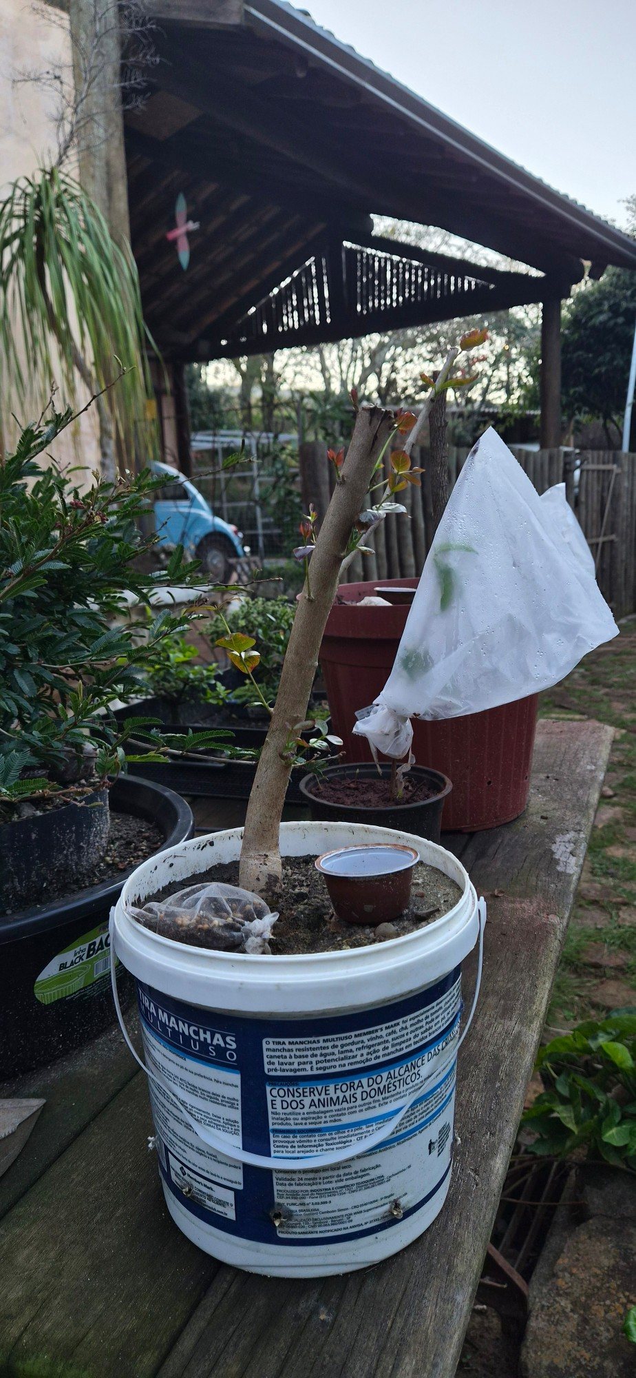 Photo 5