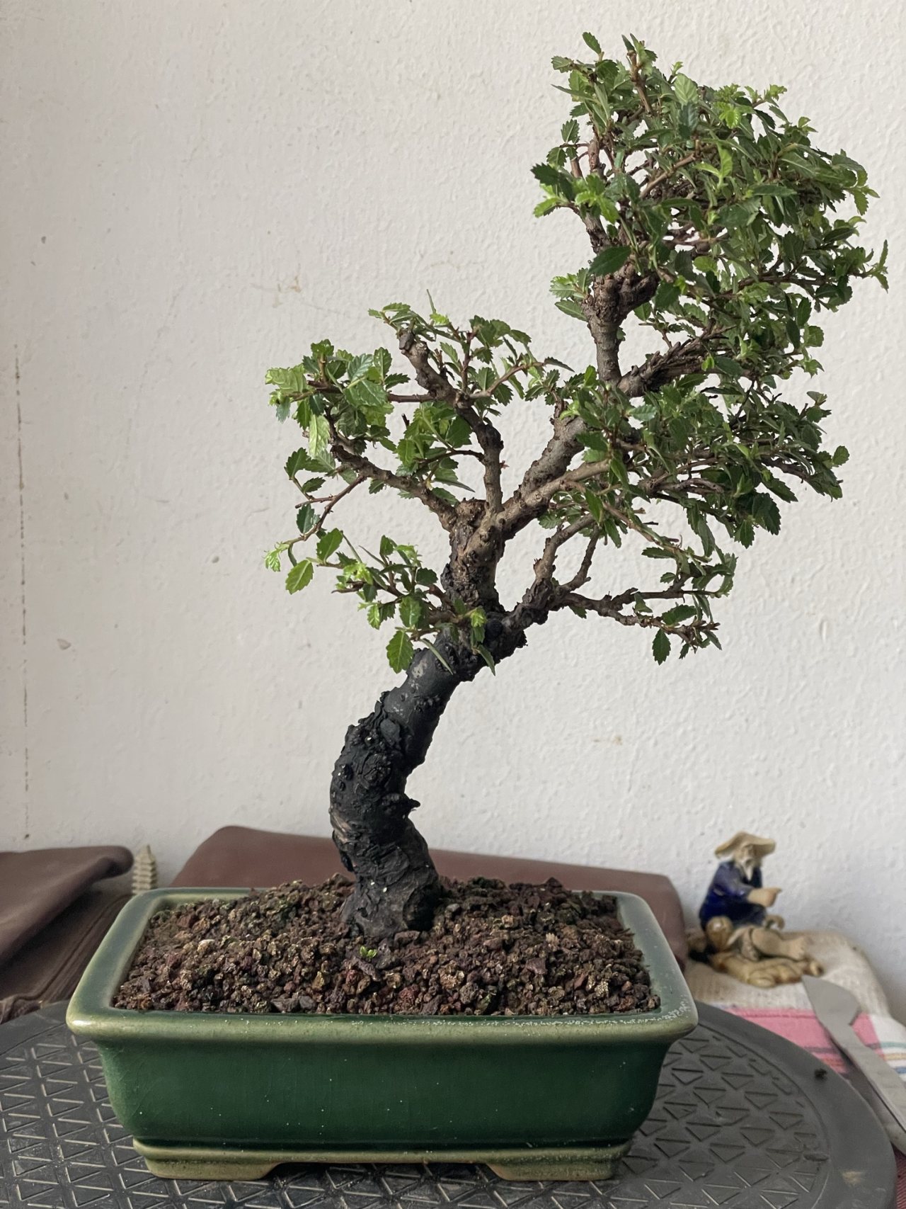 Photo 19