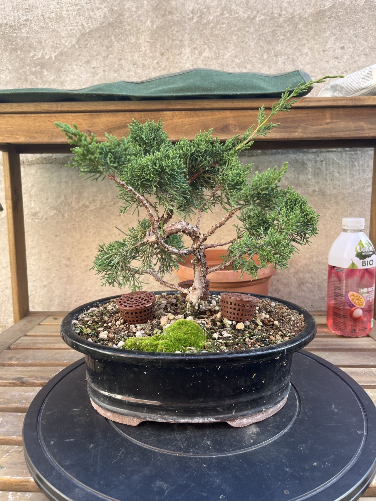 Photo 23