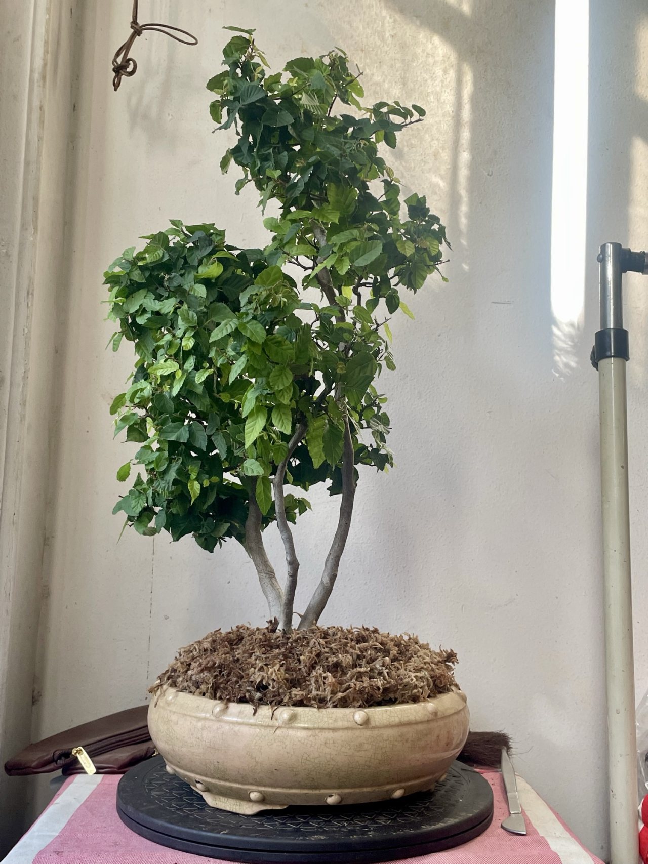 Photo 14