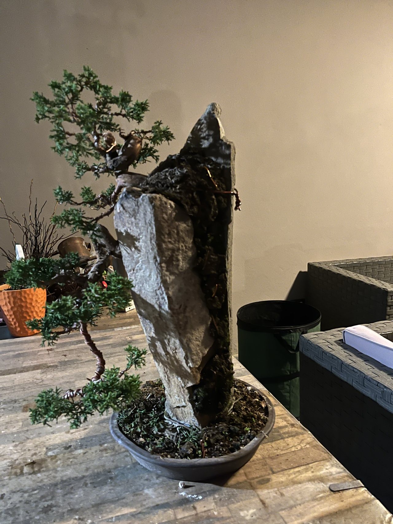 Photo 20