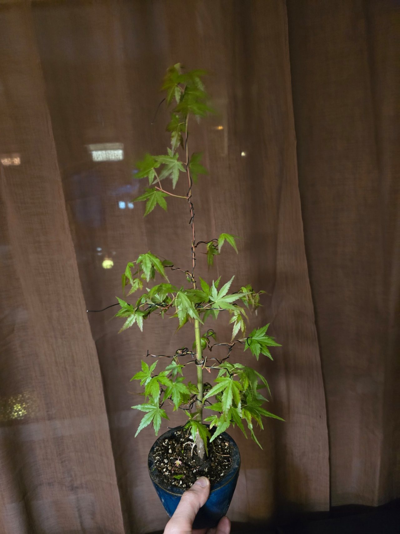 Photo 20