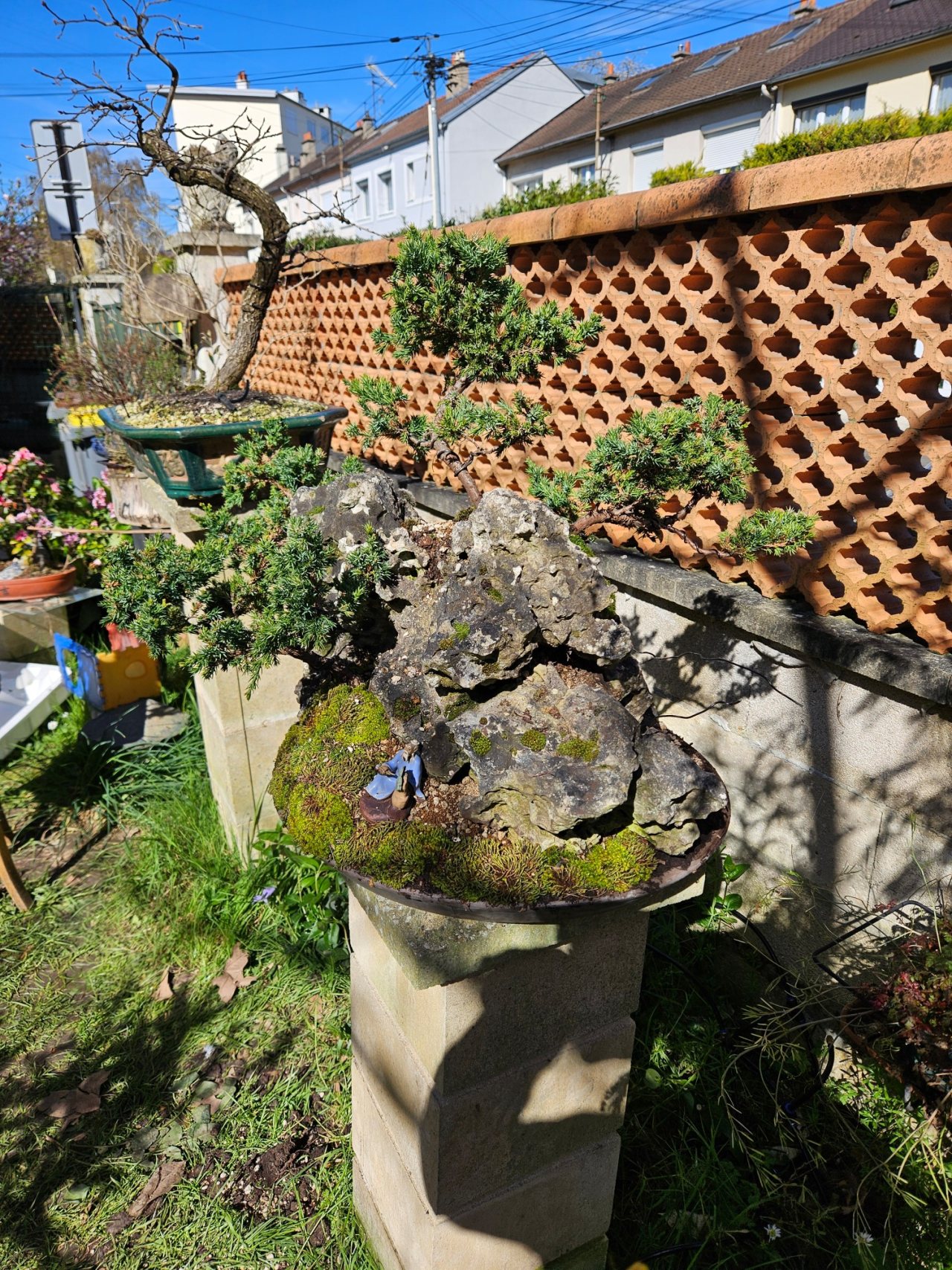 Photo 4