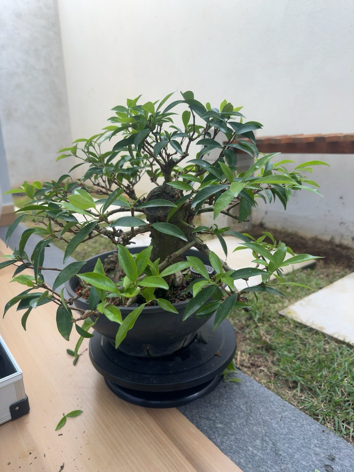 Photo 24
